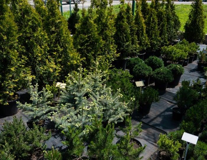 Best Service Autopilot Alternatives