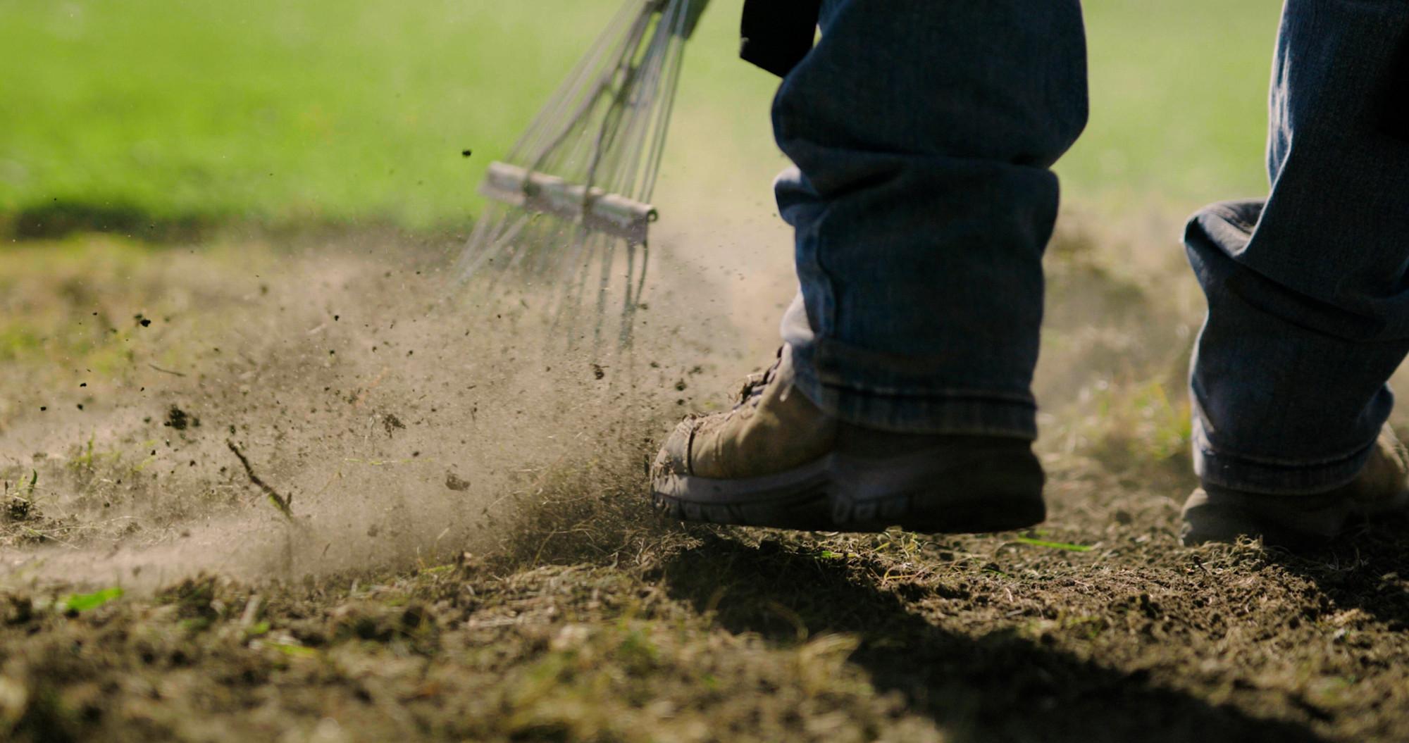 Why Your Landscaping Business Needs Insurance: A Complete Guide