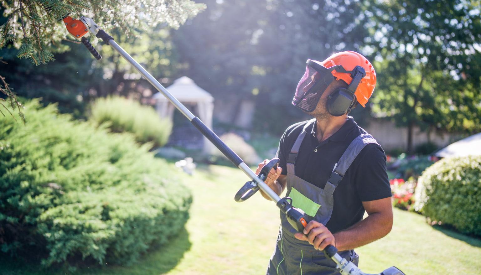 Signature Landscape KC