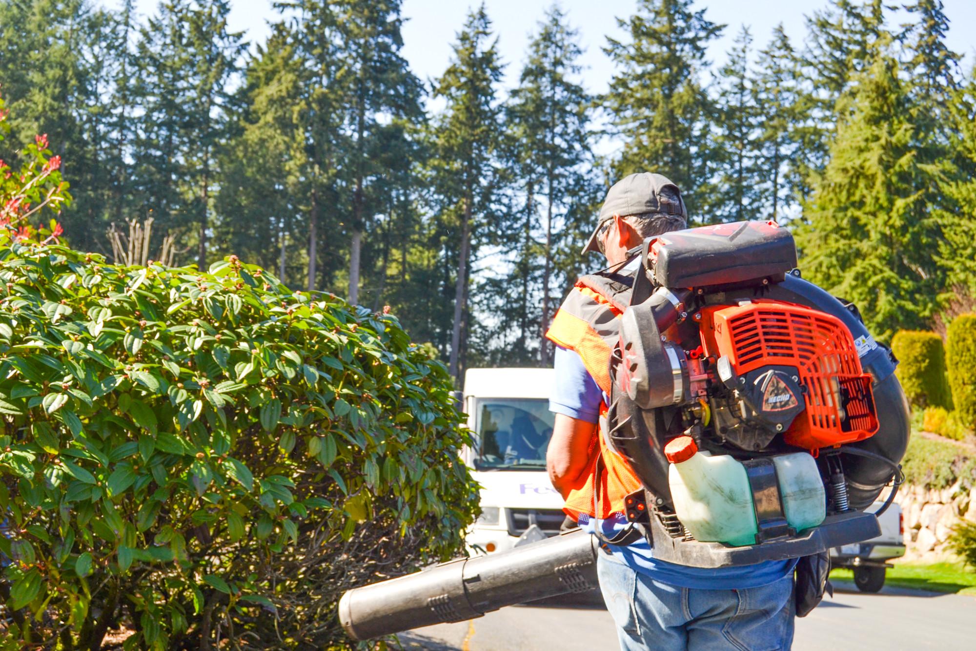 Expert Insights, Faster Results: Combining Software and Strategic Consulting to Accelerate Growth