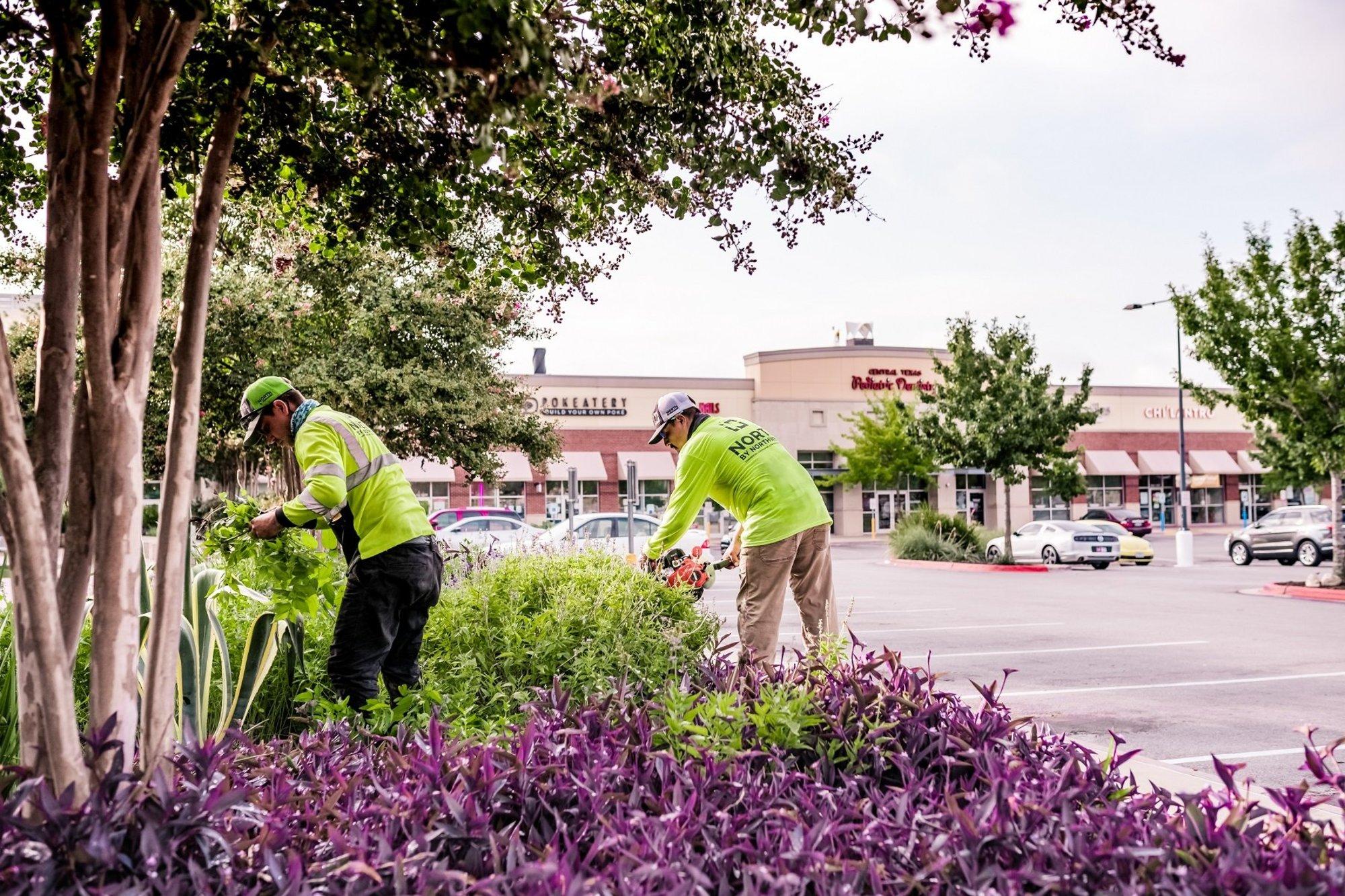 Accelerating Efficiency: Lessons from North by Northwest Landscaping