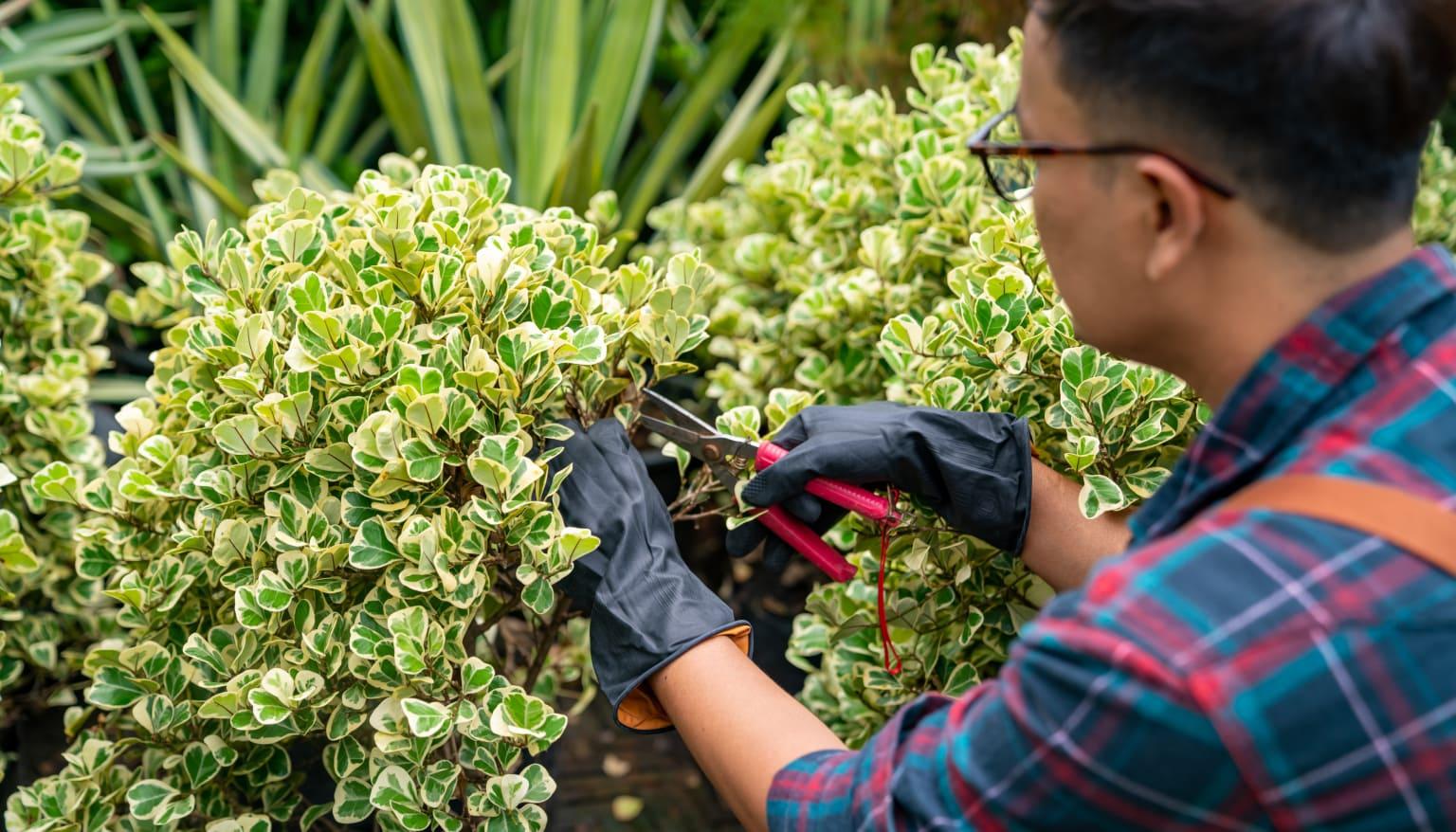 Old Village Landscaping